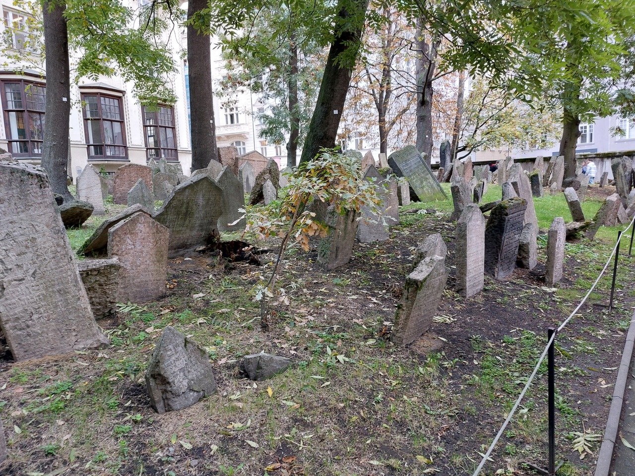 Prague-Jewish-15---Jewish-Cemetery.jpg